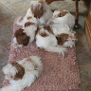 Meet your Posher, Tim